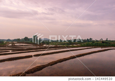 Aerial view of Jatiluwih rice terraces with water-filled paddies reflecting the golden hour sky, surrounded by lush tropical trees and a distant village in Penebel, Bali, Indonesia. Aerial view of Jatiluwih rice terraces with water-filled paddies reflecting the golden hour sky, surrounded by lush tropical trees and a distant village in Penebel, Bali, Indonesia. 141449510