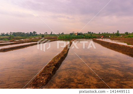 Aerial view of Jatiluwih rice terraces with water-filled paddies reflecting the golden hour sky, surrounded by lush tropical trees and a distant village in Penebel, Bali, Indonesia. 141449511
