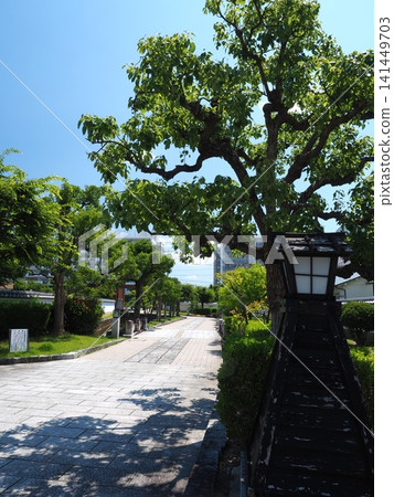 大和郡山外護城河綠地的清新日式景色 141449703