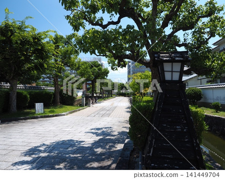 大和郡山外護城河綠地的清新日式景色 141449704