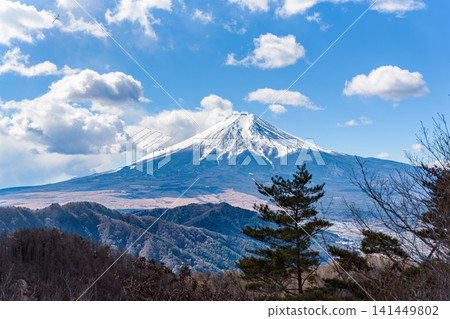 從馬鞍見岳和愛佐田嶽之間的山脊步道上可以欣賞到富士山的全景。 從馬鞍見岳和愛佐田嶽之間的山脊步道上可以欣賞到富士山的全景。 141449802
