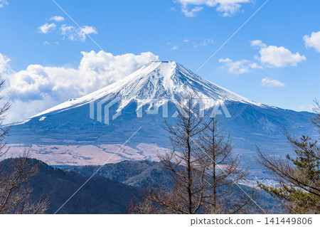 A view of snow-capped Mount Fuji and bare winter trees from the summit of Mount Aisada. A view of snow-capped Mount Fuji and bare winter trees from the summit of Mount Aisada. 141449806