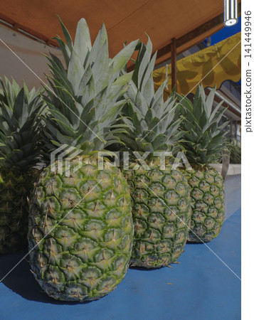 Fresh and vibrant pineapples add color to the summer market. Fresh and vibrant pineapples add color to the summer market. 141449946