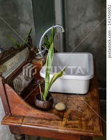 Rustic wooden bathroom vanity with ceramic sink mirror and snake plant interior decor 141450052