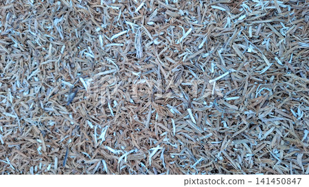 Natural Dry Wood Shavings and Mulch Texture Natural Dry Wood Shavings and Mulch Texture 141450847