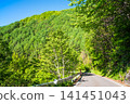 Kamikochi Norikura Super Forest Road: A refreshing morning scene of lush greenery. 141451043