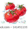 番茄 / 水 / 夏季 / 夏季蔬菜 / 紅色蔬菜 / 插圖素材 / PNG 素材 141451135