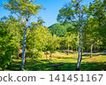 A refreshing morning scene of lush greenery at Norikura Plateau (Matsumoto City, Nagano Prefecture) 141451167