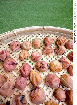 Homemade pickled plums with a lawn in the background Homemade pickled plums with a lawn in the background 141452036
