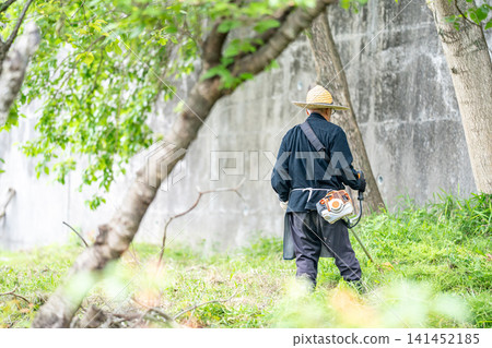 Elderly man mowing with a mower in early summer Elderly man mowing with a mower in early summer 141452185