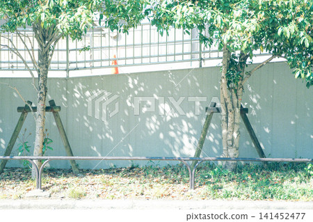 A building into which sunlight filters through the trees A building into which sunlight filters through the trees 141452477