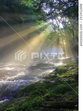 Beautiful rays of light emerge from Kikuchi Valley (Kikuchi City, vertical composition) 141452806
