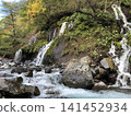 清裡，鳥龍瀑布：秋日溪流與美麗瀑布（山梨縣北斗市） 141452934