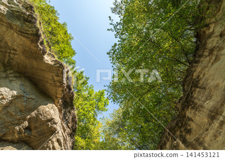 Majestic rocky cliffs and towering trees against blue sky. View of the rocks in Kislovodsk, Russia. Majestic rocky cliffs and towering trees against blue sky. View of the rocks in Kislovodsk, Russia. 141453121