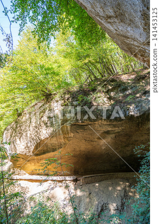 Majestic rocky cliffs, caves and towering trees. View of the rocks in Kislovodsk, Russia. Majestic rocky cliffs, caves and towering trees. View of the rocks in Kislovodsk, Russia. 141453125