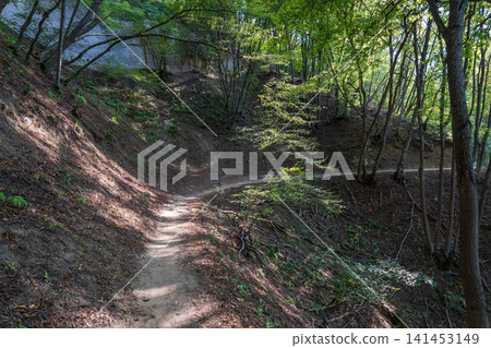 Curve road to the mountains. Scenic dirt road with mountain range. Curve road to the mountains. Scenic dirt road with mountain range. 141453149
