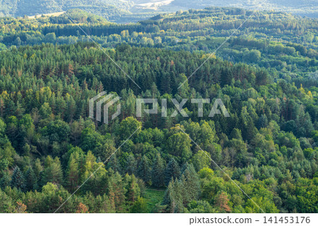 Summer Mountains Landscape with Green forest. Summer Mountains Landscape with Green forest. 141453176