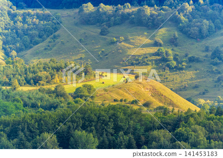 Summer Mountains Landscape with Green forest. Summer Mountains Landscape with Green forest. 141453183
