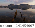 Remains of the pier 141454007