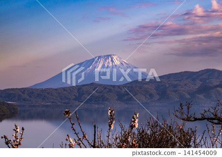 Mt. Yotei in spring 141454009