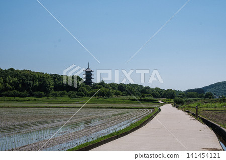 初夏的目光投向岡山縣總社市備中國分寺的五重塔。 141454121