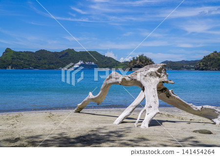 Viewing the Asuka III, anchored at Futami Port on Chichijima Island in the Ogasawara Islands, from Ogiura Beach, where driftwood is scattered. Viewing the Asuka III, anchored at Futami Port on Chichijima Island in the Ogasawara Islands, from Ogiura Beach, where driftwood is scattered. 141454264