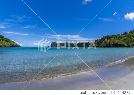 小笠原群島父島小湊海灘 小笠原群島父島小湊海灘 141454272