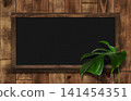 Blackboard with shelves, adorned with monstera leaves, made of dark oak. 141454351