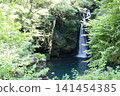 Niko-buchi and the Niyodo Blue waterfall basin in summer (Ino Town, Kochi Prefecture) 141454385