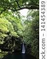 Niko-buchi and the Niyodo Blue waterfall basin in summer (Ino Town, Kochi Prefecture) 141454389
