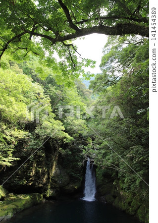 夏季的二河淵和二淀藍瀑布盆地（高知縣伊野町） 141454389