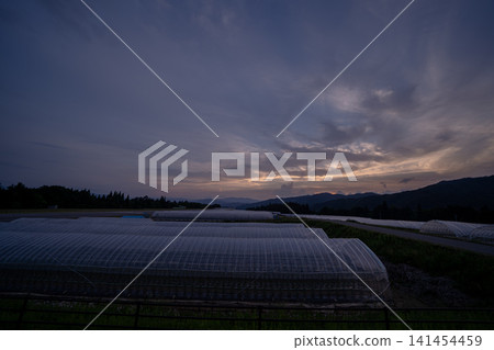 A greenhouse and rural landscape at dusk A greenhouse and rural landscape at dusk 141454459