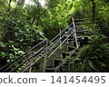 The steep staircase of the old walking path leading to Niko-buchi (Ino Town, Kochi Prefecture) 141454495