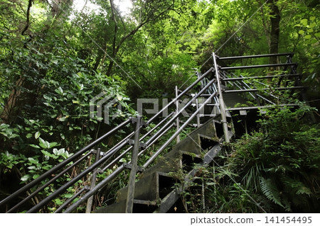 The steep staircase of the old walking path leading to Niko-buchi (Ino Town, Kochi Prefecture) The steep staircase of the old walking path leading to Niko-buchi (Ino Town, Kochi Prefecture) 141454495