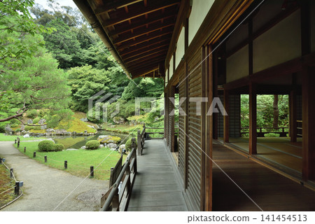 青蓮院的夏日:小宮殿和相阿彌庭園(京都市東山區) 青蓮院的夏日:小宮殿和相阿彌庭園(京都市東山區) 141454513