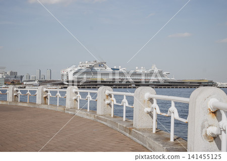 鑽石公主錨在Oosan橋 鑽石公主錨在Oosan橋 141455125