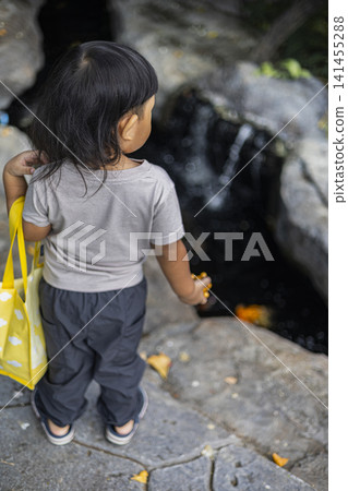 Toddler Standing And Looking At Fish Pond Toddler Standing And Looking At Fish Pond 141455288