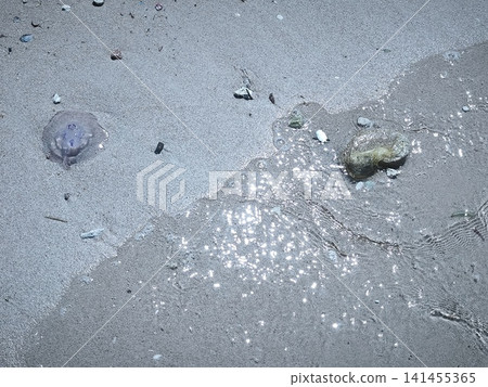 Close ups of washed up jellyfish and scattered plastic debris on the ocean shore and sea, highlighting the stark contrast and pressing issue of environmental pollution and marine waste. 141455365