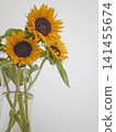A bouquet of sunflowers in a vase 141455674