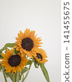 A bouquet of sunflowers in a vase 141455675