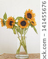 A bouquet of sunflowers in a vase 141455676