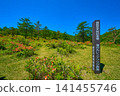 群馬縣吾妻郡妻戀村東妻戀線（縣道94號）附近的路標，顯示了雲之丸高原及其上的毛葉杜鵑花群。 141455746