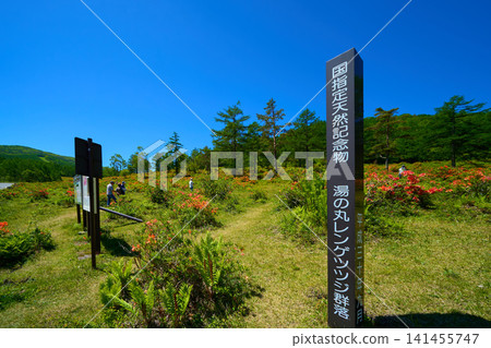 A signpost near the Higashi-Tsumagoi Line (Prefectural Road 94) in Tsumagoi Village, Agatsuma District, Gunma Prefecture, showing the Yunomaru Plateau with its cluster of Rhododendron molle. A signpost near the Higashi-Tsumagoi Line (Prefectural Road 94) in Tsumagoi Village, Agatsuma District, Gunma Prefecture, showing the Yunomaru Plateau with its cluster of Rhododendron molle. 141455747