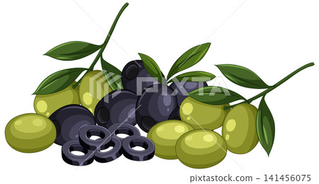 Vector Illustration of Green and Black Olives with Branches and Slices Vector Illustration of Green and Black Olives with Branches and Slices 141456075