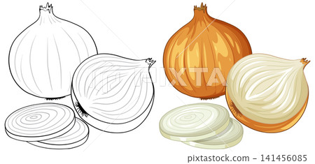 Vector Illustration of Whole and Sliced Yellow Onions with Line Art Vector Illustration of Whole and Sliced Yellow Onions with Line Art 141456085