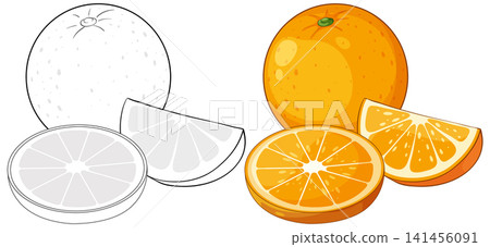 Vector Illustration of Whole Orange and Sliced Citrus Fruit Segments Vector Illustration of Whole Orange and Sliced Citrus Fruit Segments 141456091