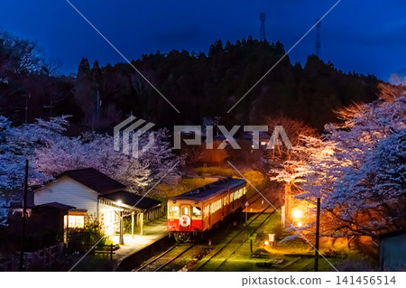 Kominato Railway and cherry blossoms at night Kominato Railway and cherry blossoms at night 141456514