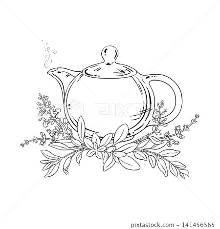 Sage Tea in Teapot Outline Illustration. 141456565