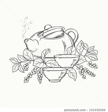 Schisandra Tea in Teapot Outline Illustration. Schisandra Tea in Teapot Outline Illustration. 141456569