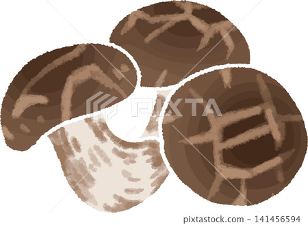 Cute hand-drawn style illustration of a shiitake mushroom (mushroom, vegetable, food ingredient, autumn, color, illustration) 141456594
